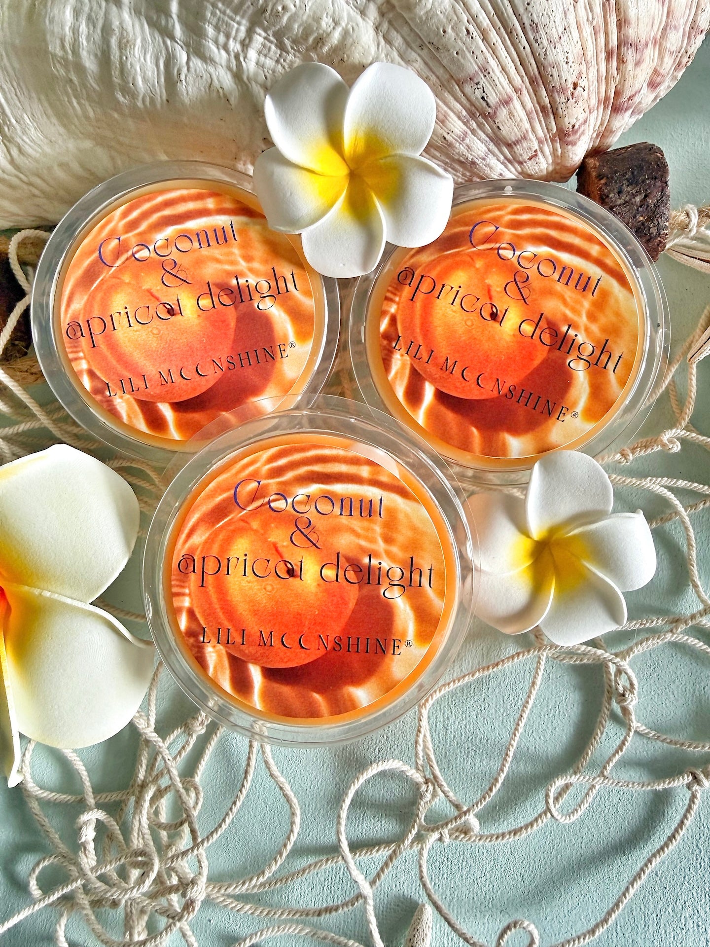 Wax Melt "Coconut Apricot Delight"